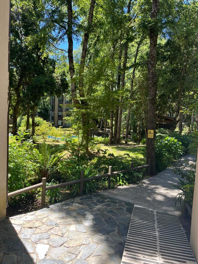 Apartamento Departamento 1